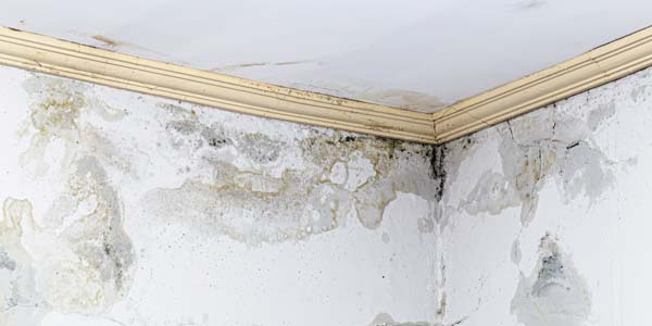 reparacion humedades reparación humedades Madrid